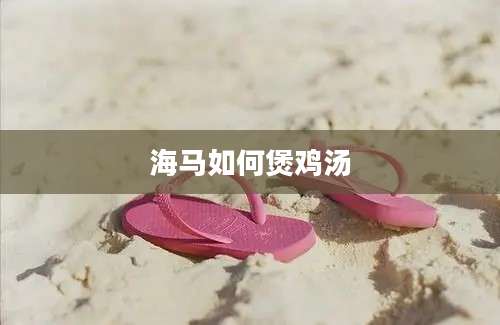 海马如何煲鸡汤