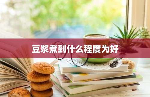 豆浆煮到什么程度为好