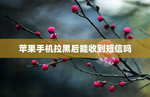 苹果手机拉黑后能收到短信吗