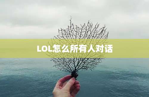 LOL怎么所有人对话