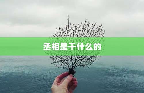 丞相是干什么的