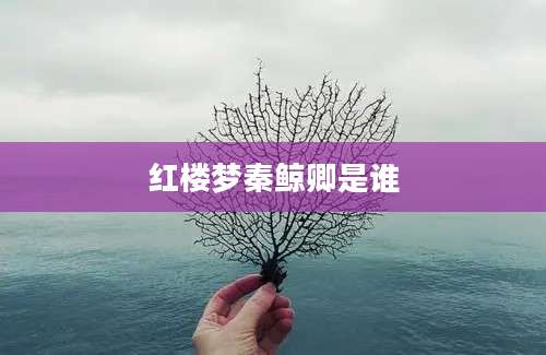 红楼梦秦鲸卿是谁