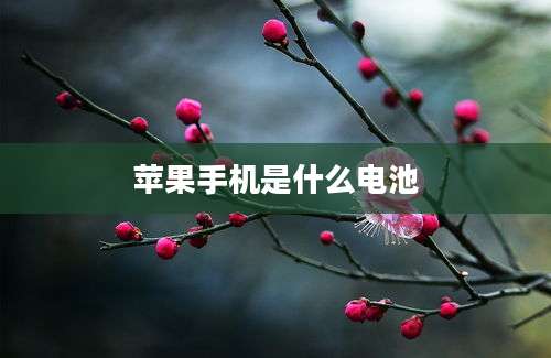 苹果手机是什么电池