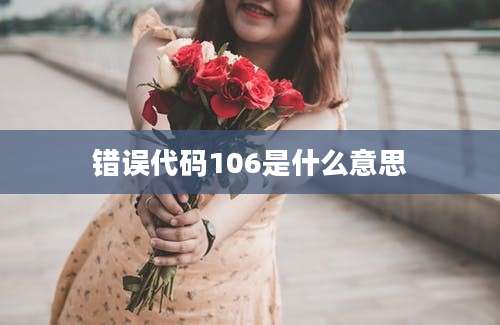 错误代码106是什么意思