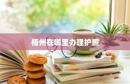 梧州在哪里办理护照