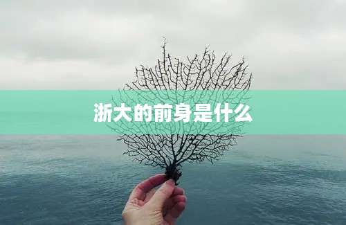 浙大的前身是什么