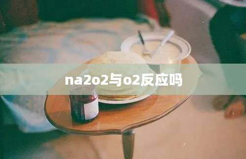 na2o2与o2反应吗