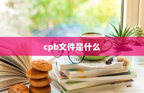 cpb文件是什么