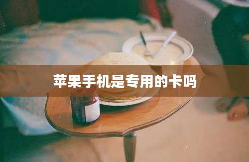 苹果手机是专用的卡吗