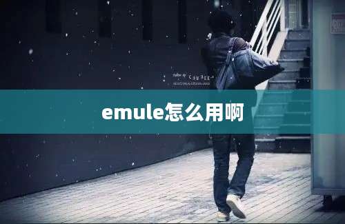 emule怎么用啊