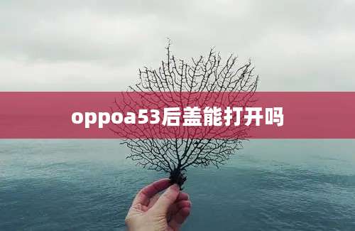 oppoa53后盖能打开吗