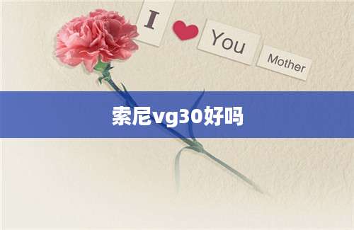 索尼vg30好吗