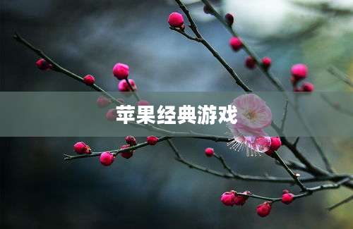 苹果经典游戏