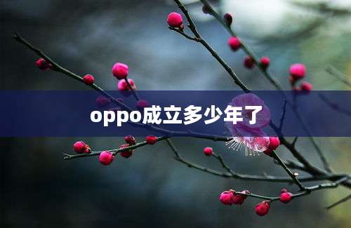 oppo成立多少年了