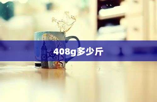 408g多少斤