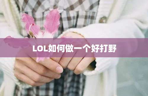 LOL如何做一个好打野