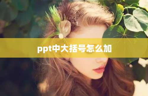 ppt中大括号怎么加