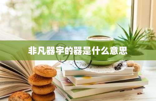 非凡器宇的器是什么意思