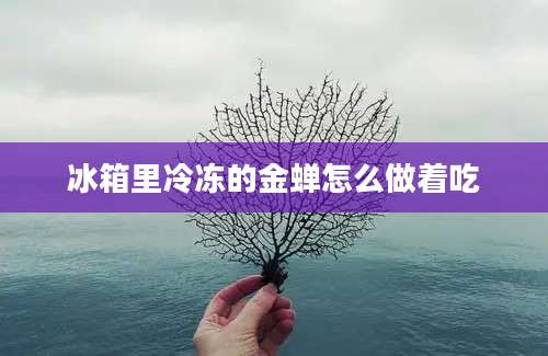 冰箱里冷冻的金蝉怎么做着吃