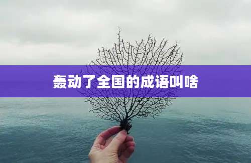 轰动了全国的成语叫啥