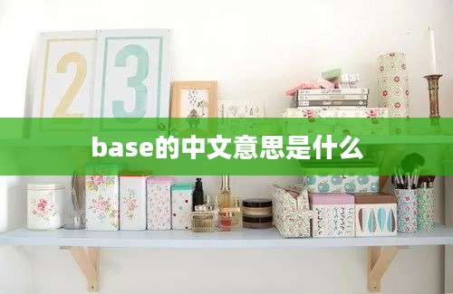 base的中文意思是什么