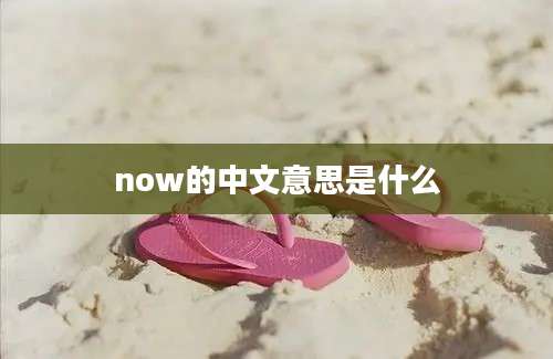 now的中文意思是什么