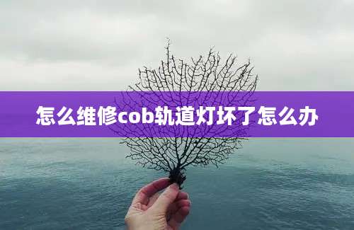 怎么维修cob轨道灯坏了怎么办