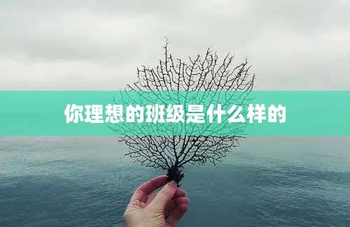 你理想的班级是什么样的