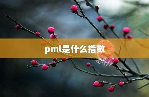 pml是什么指数