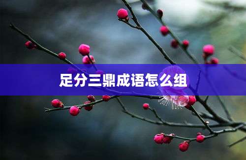 足分三鼎成语怎么组