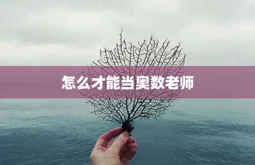 怎么才能当奥数老师