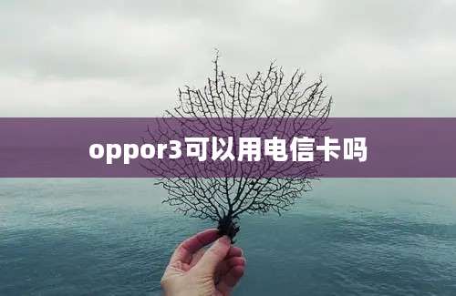 oppor3可以用电信卡吗