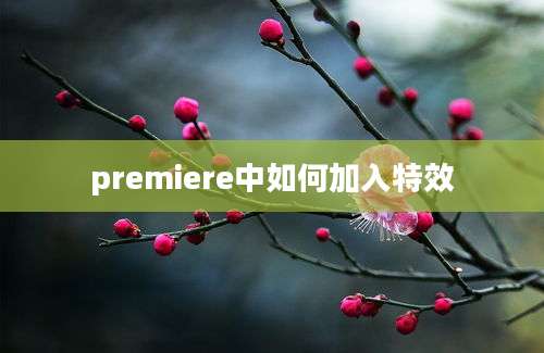 premiere中如何加入特效