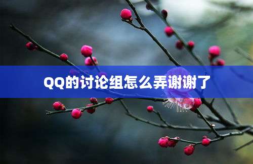 QQ的讨论组怎么弄谢谢了