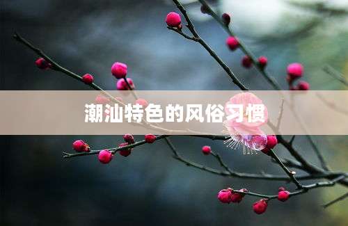 潮汕特色的风俗习惯