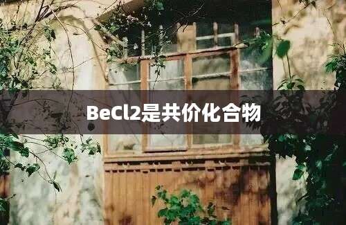 BeCl2是共价化合物