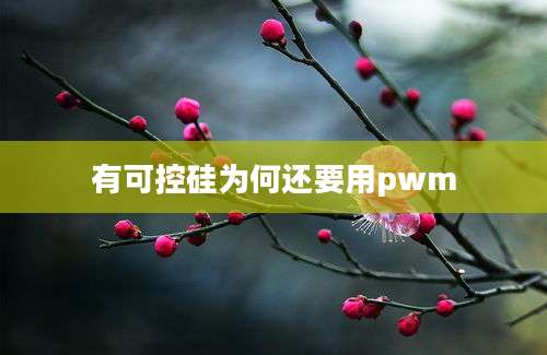 有可控硅为何还要用pwm