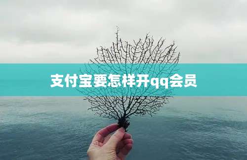 支付宝要怎样开qq会员