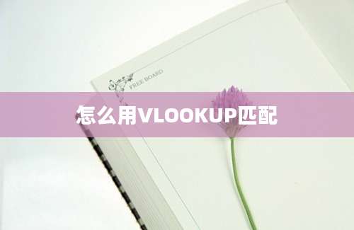 怎么用VLOOKUP匹配