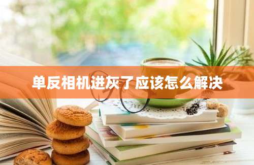 单反相机进灰了应该怎么解决