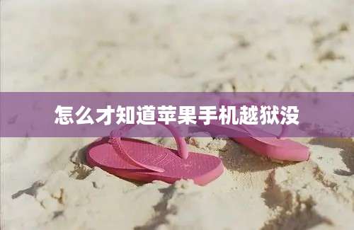 怎么才知道苹果手机越狱没