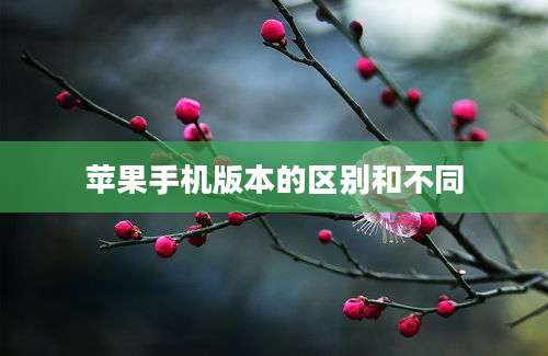 苹果手机版本的区别和不同