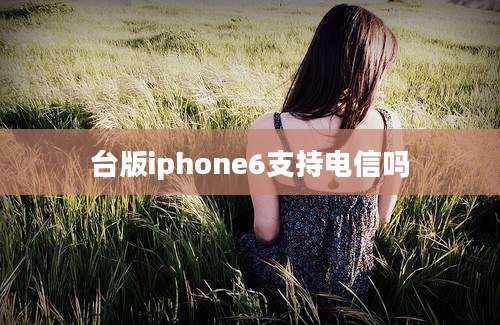 台版iphone6支持电信吗