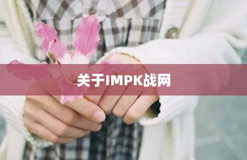 关于IMPK战网