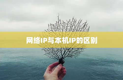 网络IP与本机IP的区别