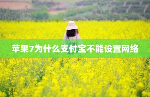 苹果7为什么支付宝不能设置网络