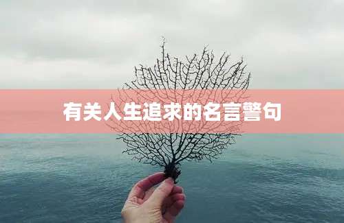 有关人生追求的名言警句