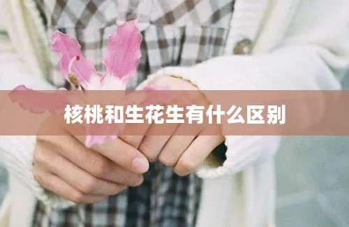 核桃和生花生有什么区别