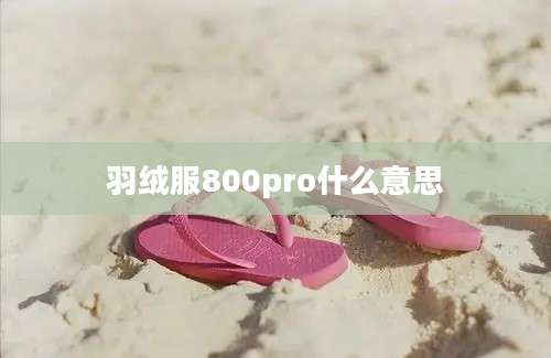 羽绒服800pro什么意思