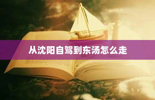 从沈阳自驾到东汤怎么走